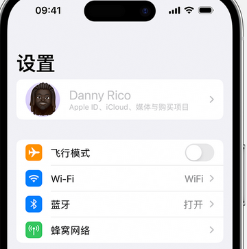 蓝田appleID维修服务iPhone设置中Apple ID显示为灰色无法使用