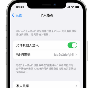 蓝田apple服务站点分享iPhone上个人热点丢失了怎么办 