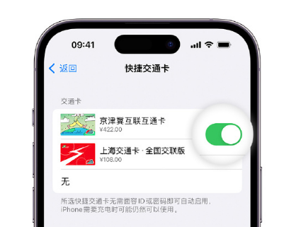 蓝田apple维修点分享iPhone上更换Apple Pay快捷交通卡手绘卡面 