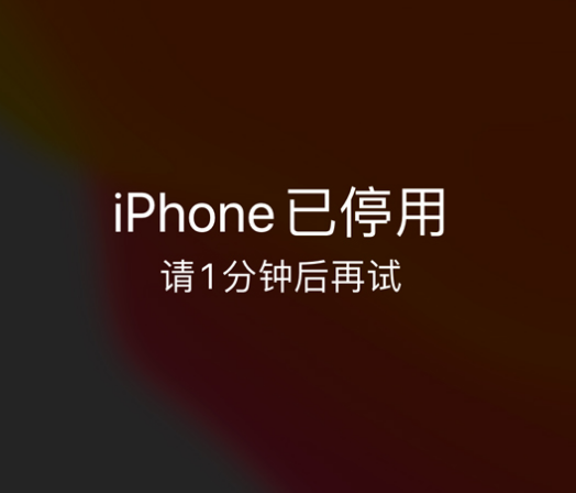 蓝田苹果手机维修分享:iPhone 显示“不可用”或“已停用”怎么办？还能保留数据吗？ 