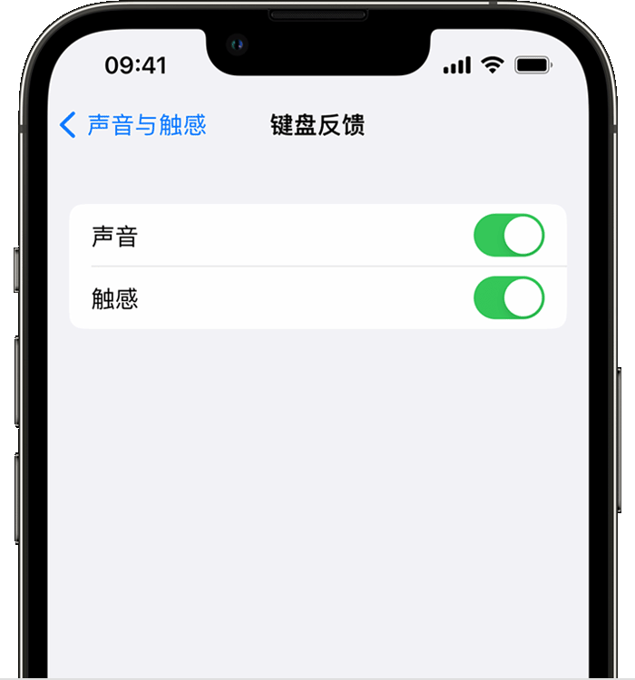 蓝田苹果14维修店分享如何在 iPhone 14 机型中使用触感键盘 