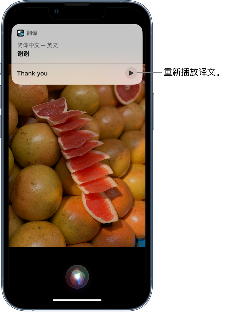 蓝田苹果14维修分享 iPhone 14 机型中使用 Siri：了解 Siri 能帮你做什么 