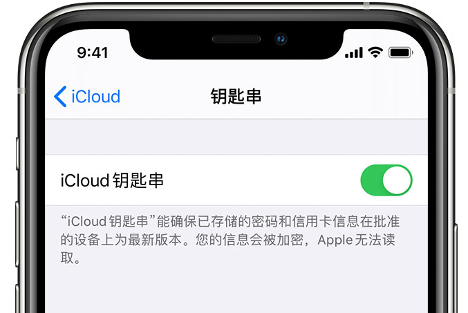 蓝田苹果手机维修分享在 iPhone 上开启 iCloud 钥匙串之后会储存哪些信息 