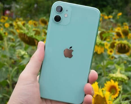 蓝田苹果维修点分享iPhone 11锁屏密码认知与使用科普 