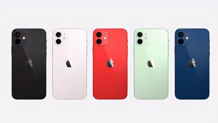 蓝田苹果维修点分享iPhone 12锁屏密码系统机制科普 